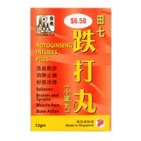 Golden Sun Brand Notoginseng Injuries Pills - 12gm per bottle